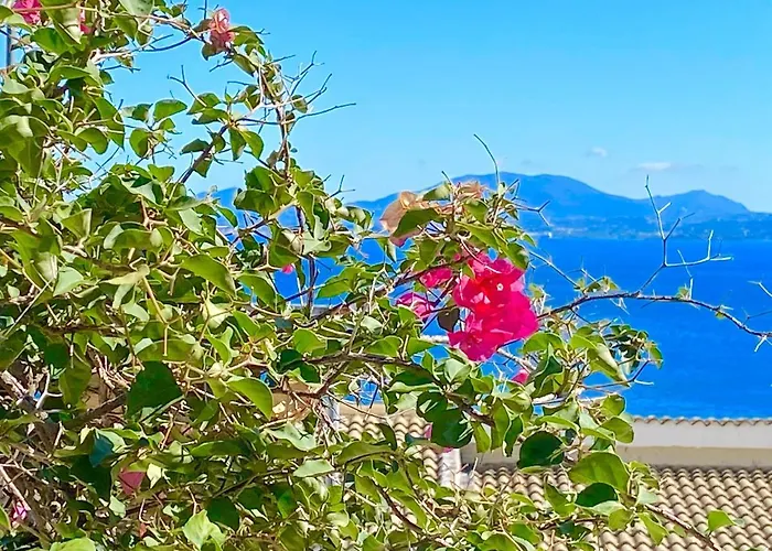 Nissaki Apartments&vasilis House *
